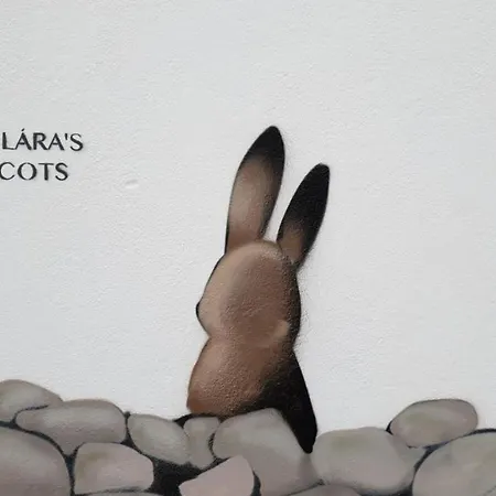 Clara's Cots לינה וארוחת בוקר קריגרט